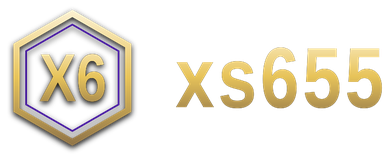 xs655 logo